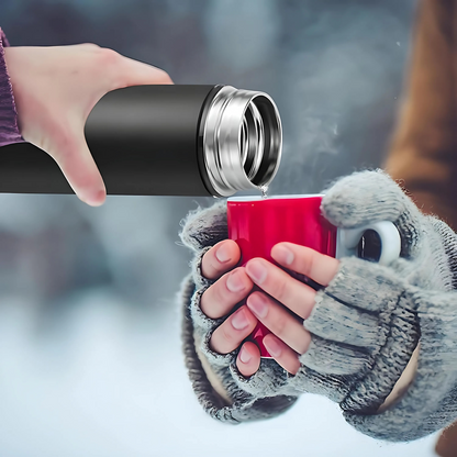 ThermoGo