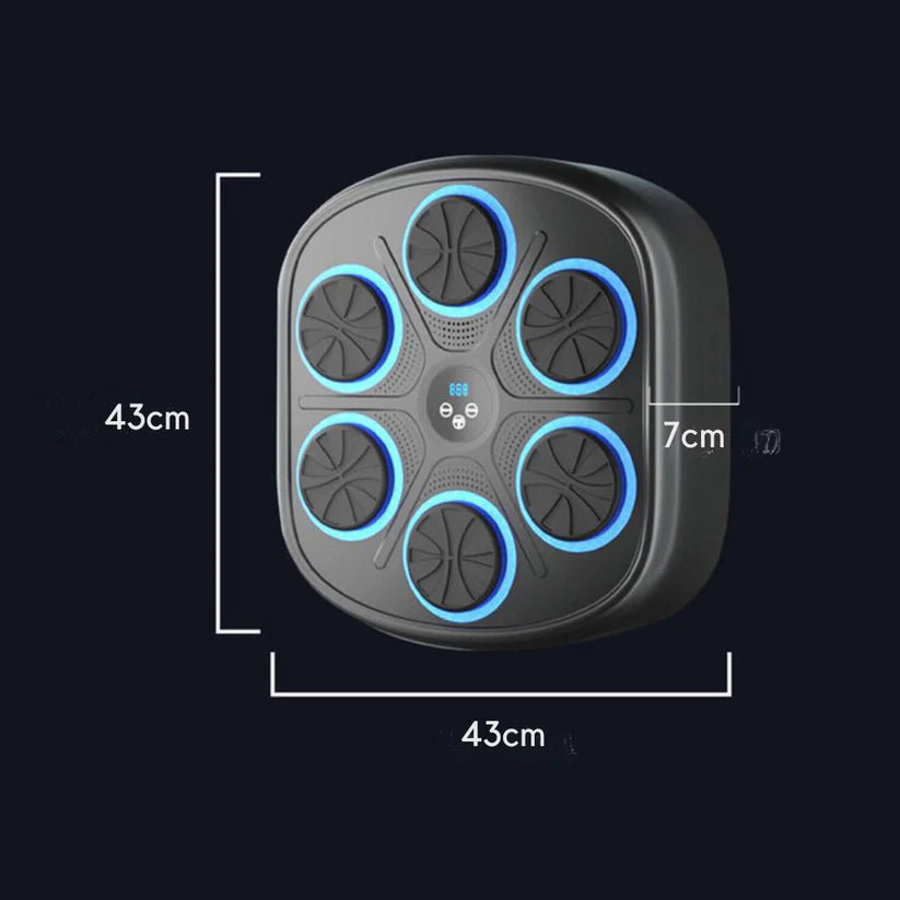 🥊 PANEL DE BOXEO MUSICAL + REGALOS - OMNYA GO FIT